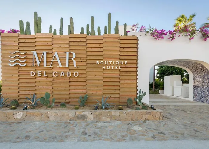 Apartahotel Mar Del Cabo Vacation Rentals